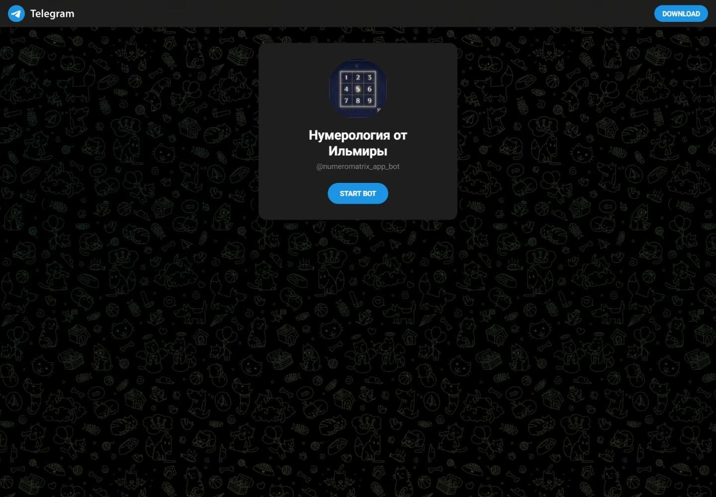 Публичная карточка Telegram-бота numeromatrix_app_bot